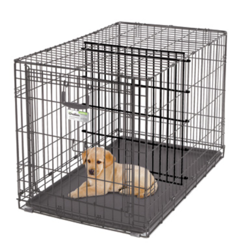 Best Dog Crates with Dividers
