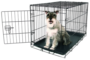 Best Dog Crates for Dobermans