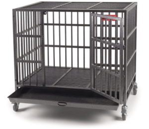 Best Dog Crates for Dobermans