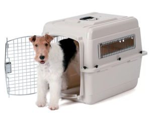 Best Side Door Plastic Dog Crates