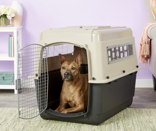 Best Plastic Dog Crates for Large Sized Dogs.