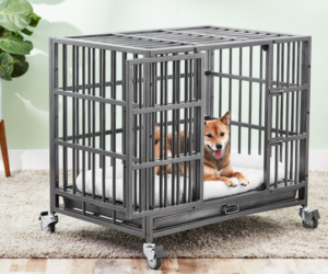 The Strongest Dog Crate