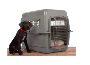 The Strongest Dog Crate