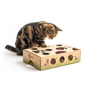 interactive cat toys amazon