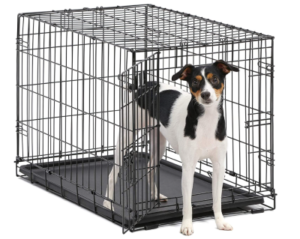 Best Dog Crates for Labs