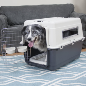 Best Dog Crates for Labs