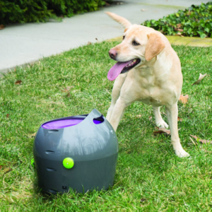 Best Tennis Ball Machines for Dogs