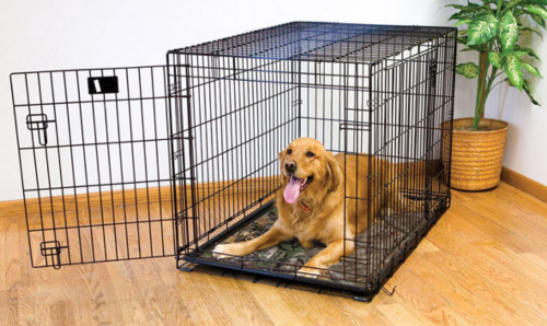 Best Tall Narrow Dog Crates