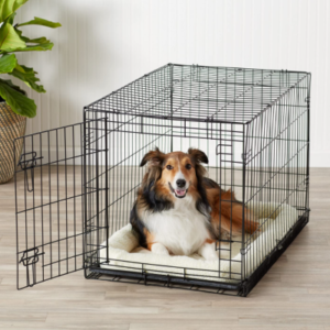 Best Tall Narrow Dog Crates