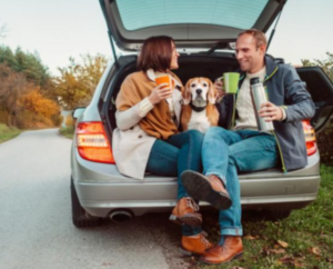 Tips for Taking a Road Trip with your dog