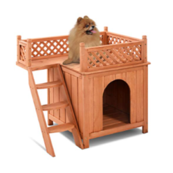 Best Indoor Dog Houses for Small Dogs