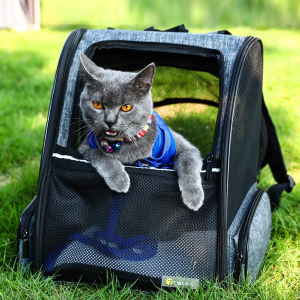 Best Cat Backpack Carriers