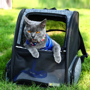 best cat back pack