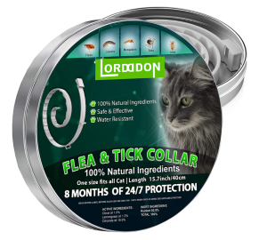 Best Flea Collar for Cats