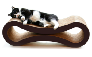 Best Gifts for Cats