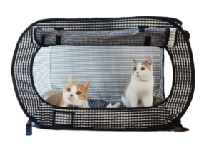 Indoor Cat Cages