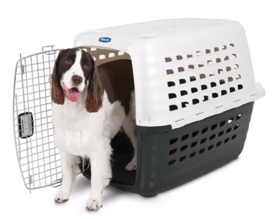 Best Plastic Dog Crates for Travel and Everyday Use