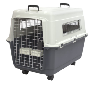 Best Plastic Dog Crates for Travel and Everyday Use