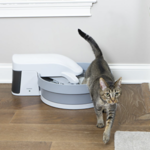 Best Self-Cleaning Litter Boxes