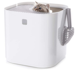 Best Self-Cleaning Litter Boxes