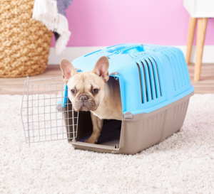 Best Plastic Dog Crates