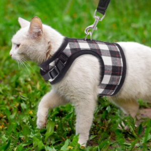 Best Cat Harnesses