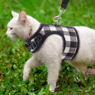 7 Best Cat Harnesses For Travel, Hiking, Veterinary Visits & Outdoor Use