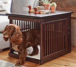 Best Stylish Dog Crates