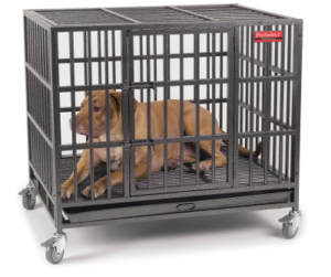 Best Crate for Dog with Separation Anxiety