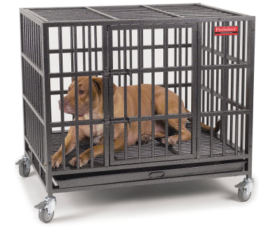 proselect empire dog crate product reviews