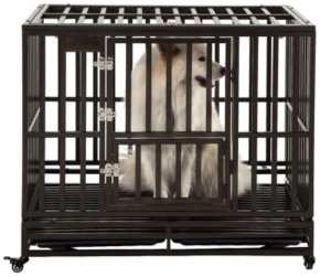 Best Crate for Dog with Separation Anxiety