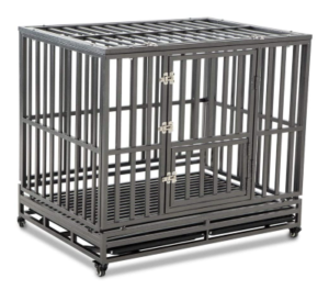 Best Crate for Dog with Separation Anxiety