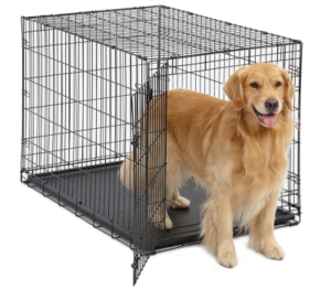 Best Crate for Dog with Separation Anxiety