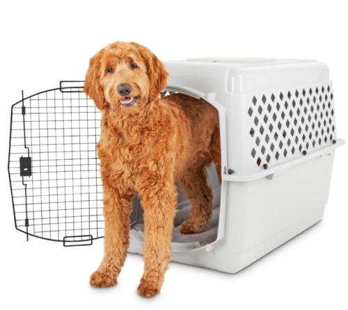 Best XXL Plastic Dog Crates