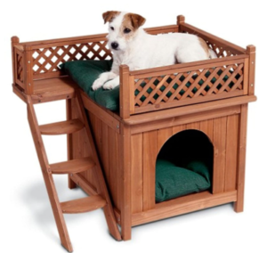 Best Indoor Dog Houses for Small Dogs