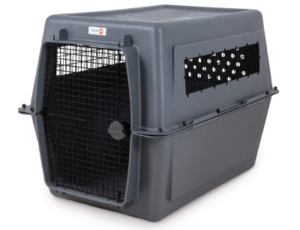 Best Plastic Dog Crates for Travel and Everyday Use