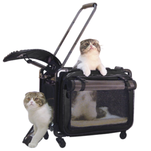 Best Cat Strollers