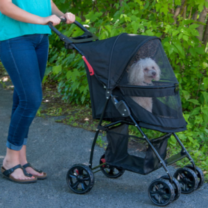 Best Cat Strollers