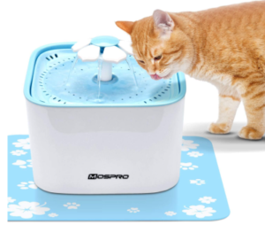 Best Cat Water Fountains