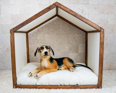 Best Indoor Dog Houses