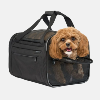 Best Airline Approved Pet Carriers