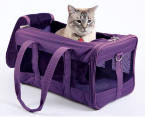 Best Airline Approved Pet Carriers