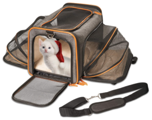 Best Airline Approved Pet Carriers