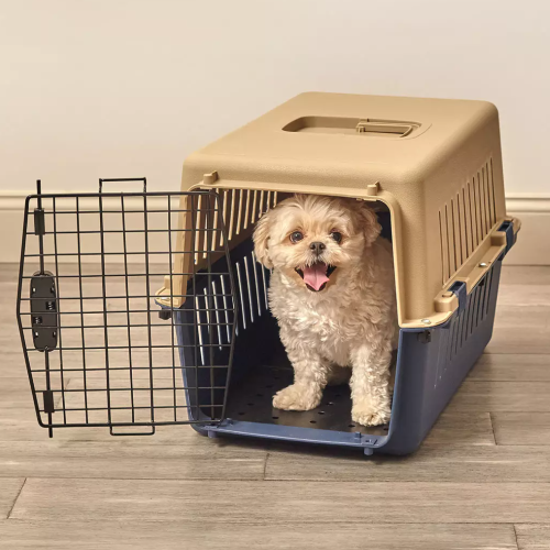 Top-Rated Plastic Dog Crates