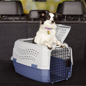 Top-Rated Plastic Dog Crates