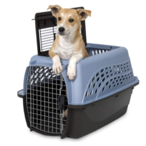 Top-Rated Plastic Dog Crates