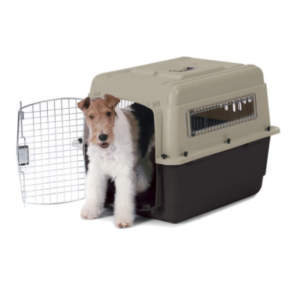 Top-Rated Plastic Dog Crates