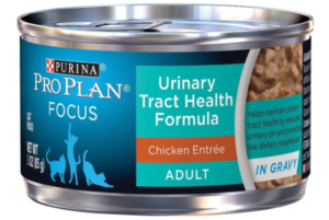 Best Cat Food for Urinary Tract Health