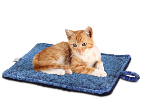 Best Heated Cat Beds