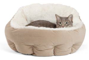 Best Heated Cat Beds